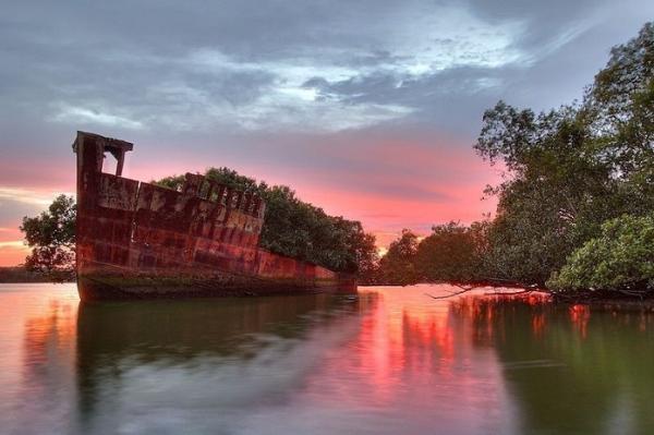 جنگل شناور جزیره هوم بوش در سیدنی (تور ارزان استرالیا)